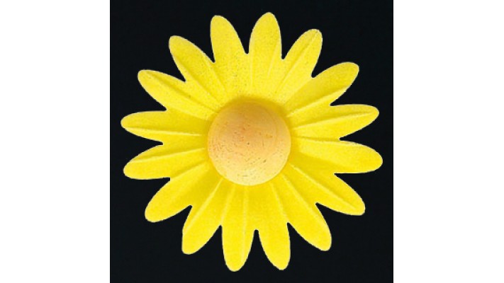 Marguerite azyme jaune Marguerite azyme jaune